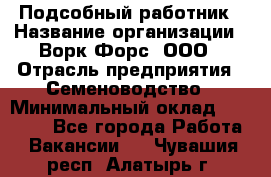 Подсобный работник › Название организации ­ Ворк Форс, ООО › Отрасль предприятия ­ Семеноводство › Минимальный оклад ­ 30 000 - Все города Работа » Вакансии   . Чувашия респ.,Алатырь г.